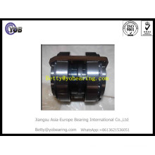 Bth0022A Truck Hub Bearing for Man Mercedes Benz